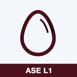 ASE L1 Practice Test Prep