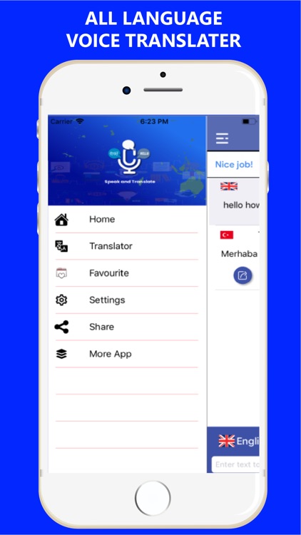 Speak & Translate * Translator screenshot-4