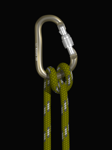 Knots 3D screenshot 2