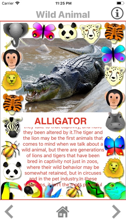 Animal Play App