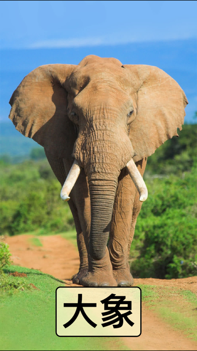 【触摸声音】触摸声音下载_触摸声音教程 _正版触摸声音下载 -爱应用