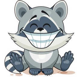 Raccon Cartoon Stickers