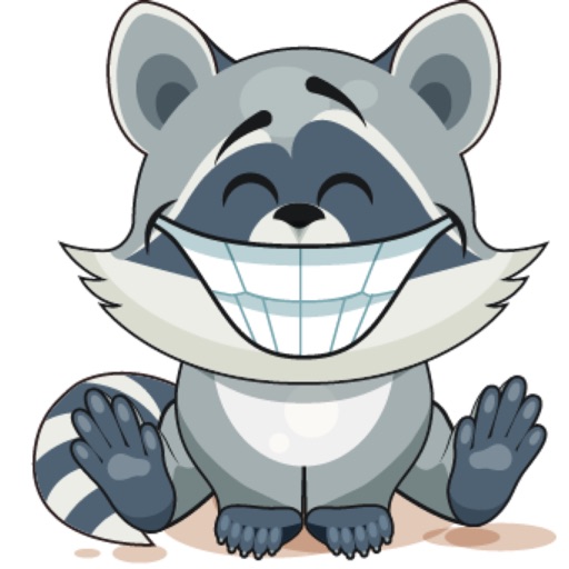 Raccon Cartoon Stickers icon