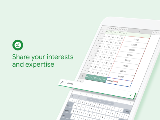 iPad Image of Google Sheets