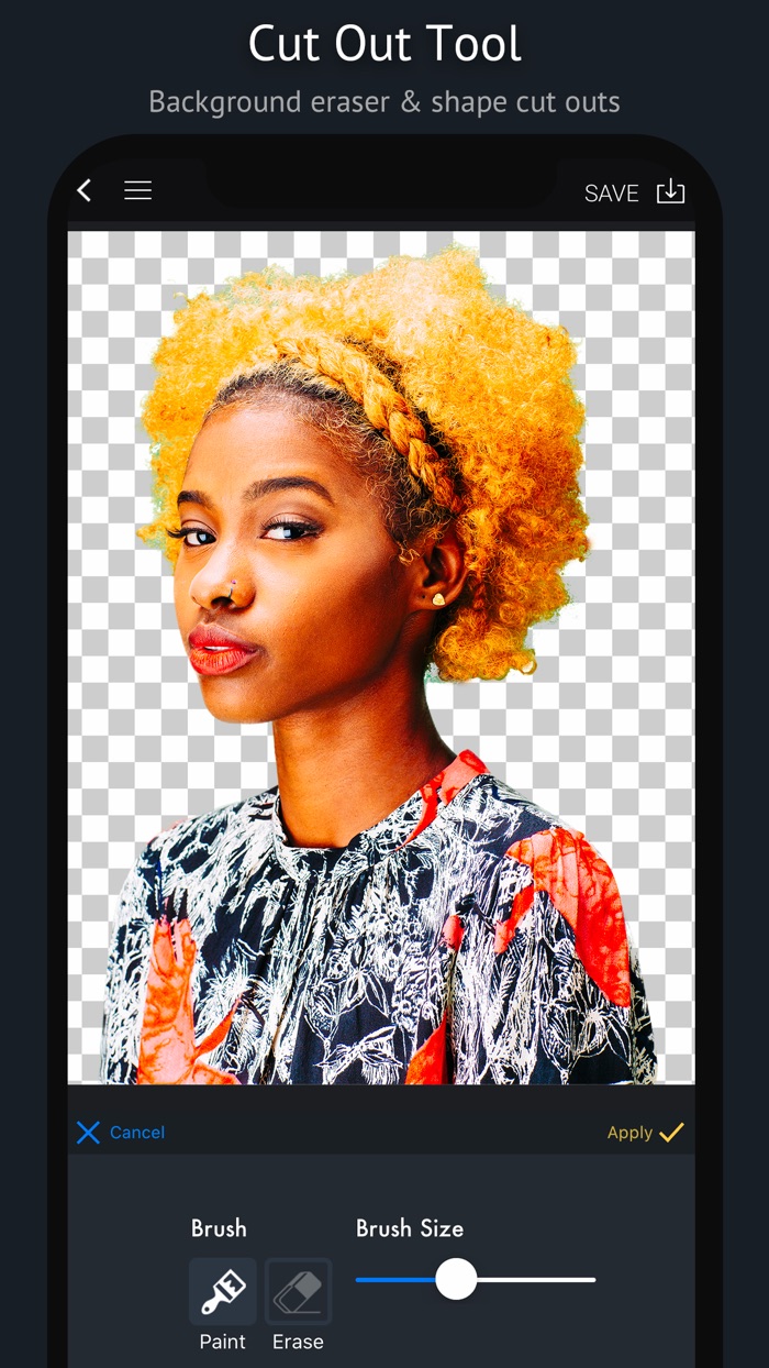 piZap Graphic Design  Editor