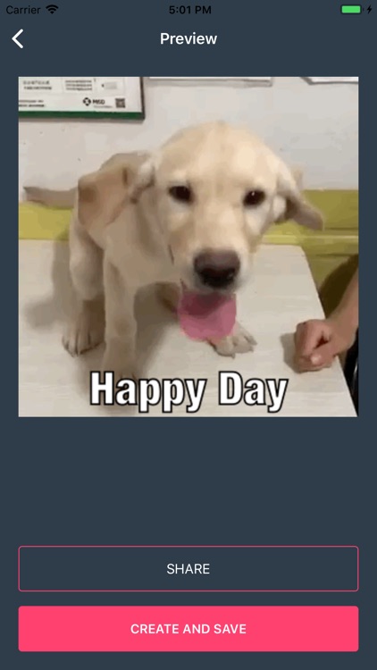dfdf Gif screenshot-3