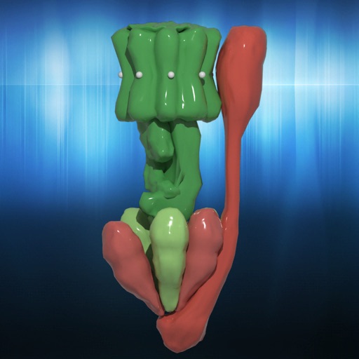 ATP Synthase [AR] icon