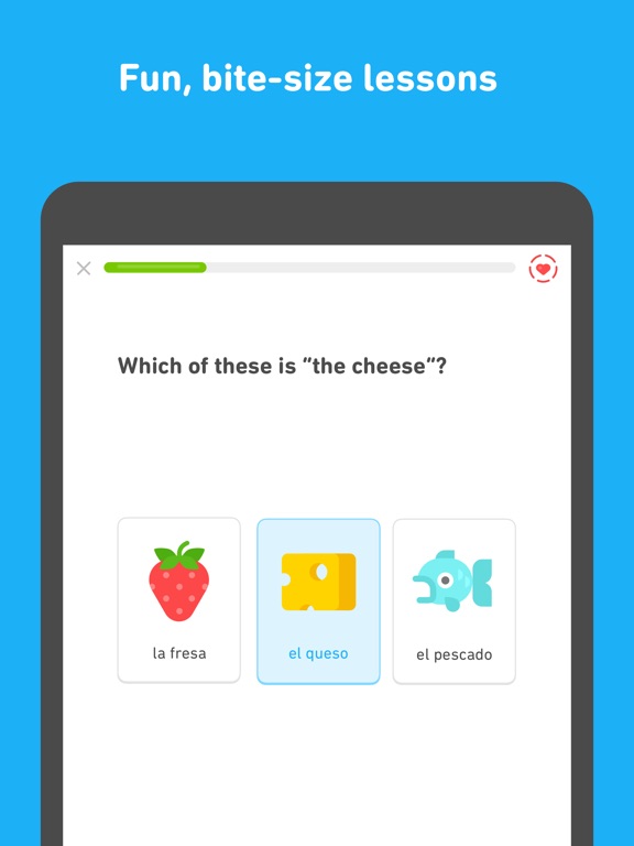 duolingo for educators