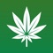 WeSmoke is a social media mobile application that has been created to provide a space where the cannabis community can share their experiences and lifestyle through images and videos, as well as become educated on cannabis information and current events