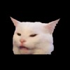 White Cat Meme