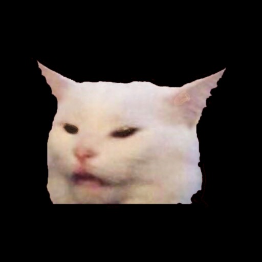 White Cat Meme icon