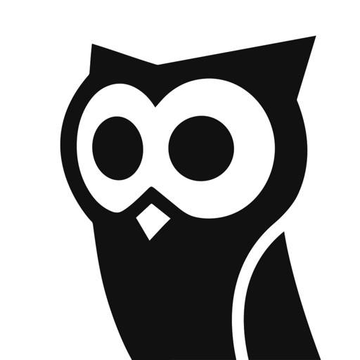 Owlcam Video Security Dash Cam Icon