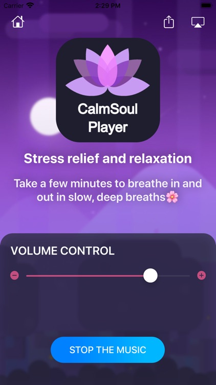 CalmSoul Player