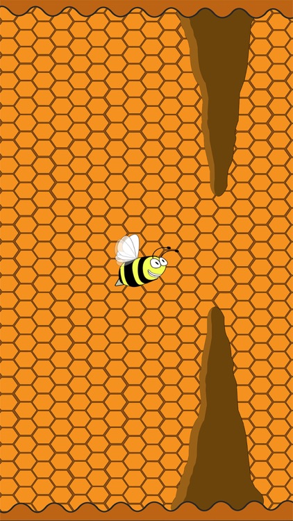 The Bee Game