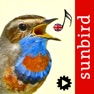 Get Bird Song Id UK for iOS, iPhone, iPad Aso Report