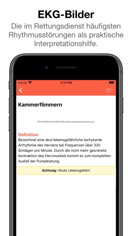 Rettungsdienst App screenshot-4