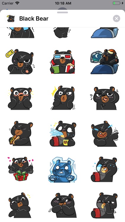 Black - Bear