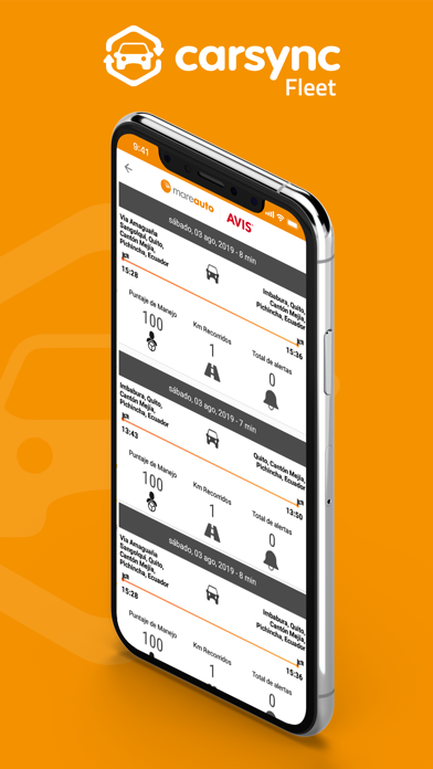 Carsync Fleet screenshot 2