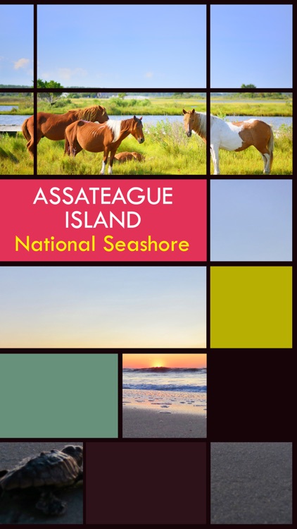 Assateague Island