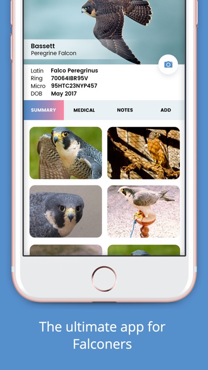 The Falconry App screenshot-3