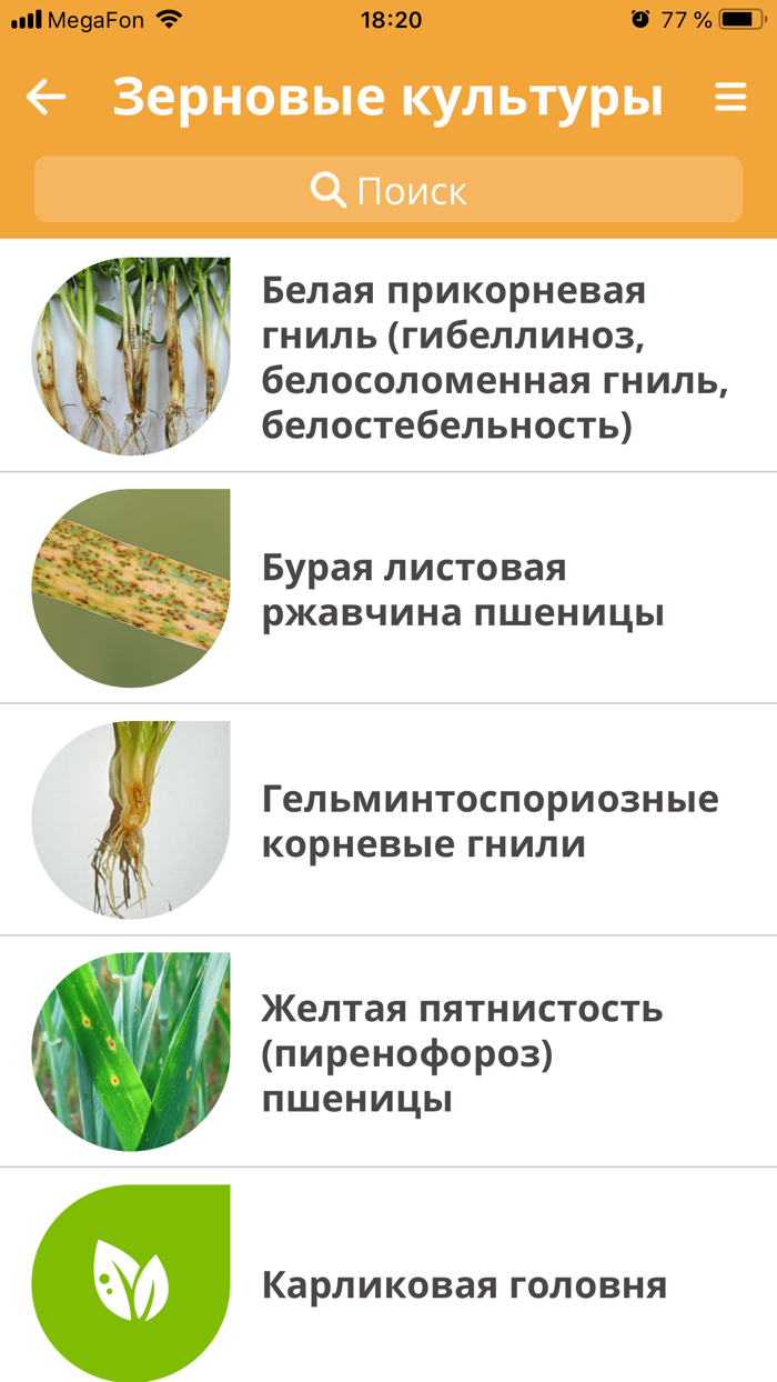 Защита растений Август РБ