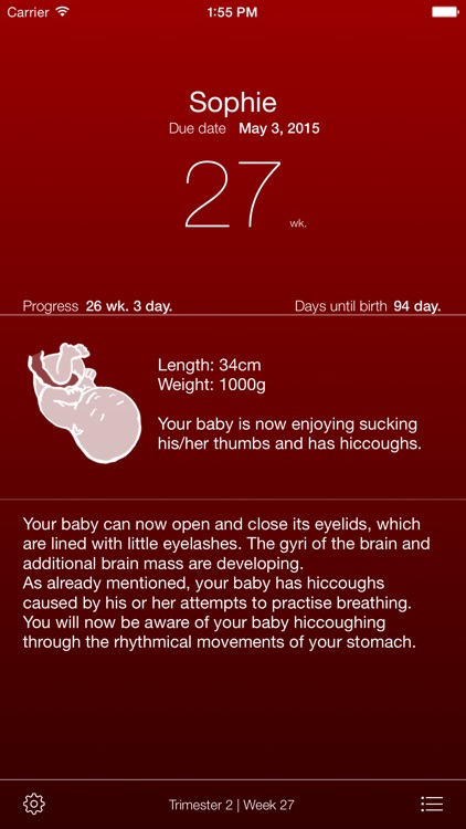 Pregnancy App