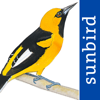 All Birds Ecuador field guide - Mullen & Pohland GbR