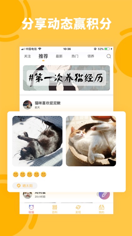 萌翻猫语翻译器-猫语翻译养猫助手