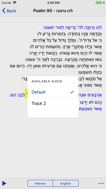 iChazzan screenshot-3