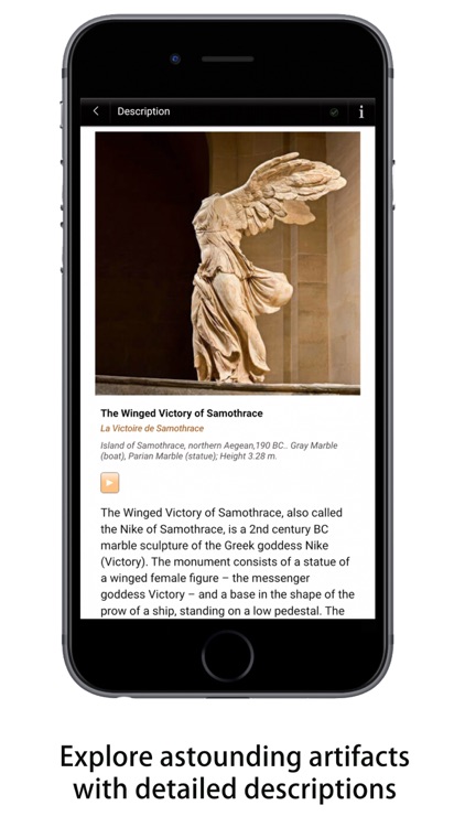 Louvre Visitor Full Edition