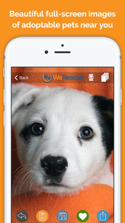 WeRescue – Adopt a Pet screenshot-0