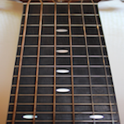 Guitar Fretboard Addict FREE