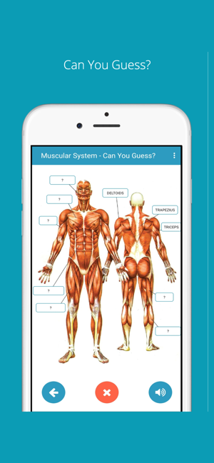 Learn Human Anatomy(圖3)-速報App