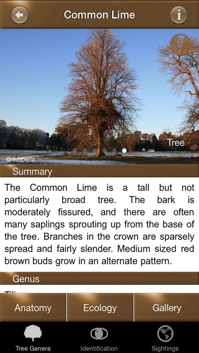 How to cancel & delete Winter Tree Id - British Isles from iphone & ipad 3