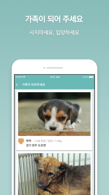 다독다독 screenshot-6