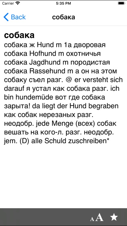 German-Russian dictionary DERU screenshot-3