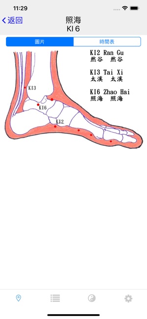 子午靈龜(圖3)-速報App