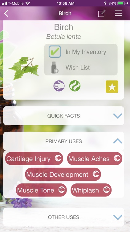 Modern Essentials Plus screenshot-3