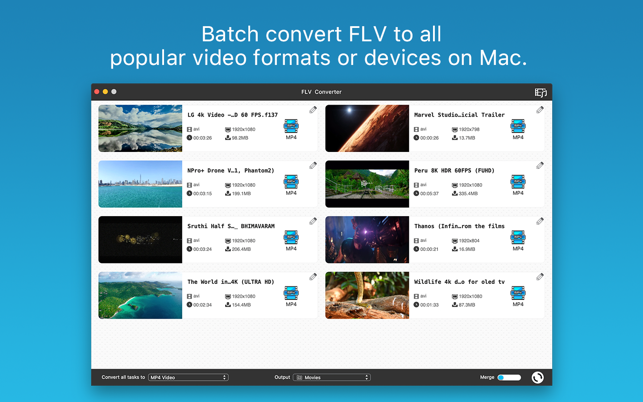 FLV Converter