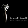 Bruno Di Salvio