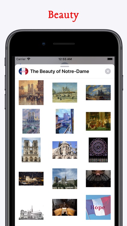 The Beauty of Notre-Dame Paris