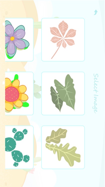 Learn Draw Plants