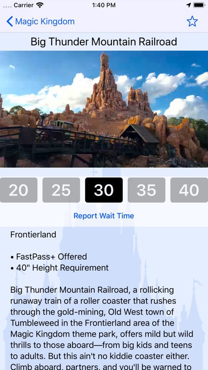 Wait Times for Disney World