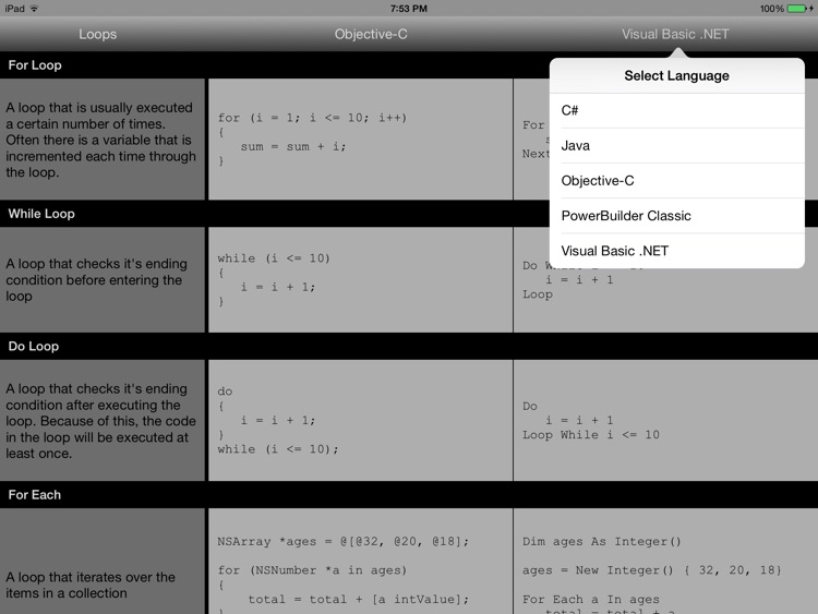 Coder's Stone screenshot-3
