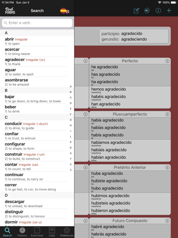 Spanish Verbs & Conjugation - náhled