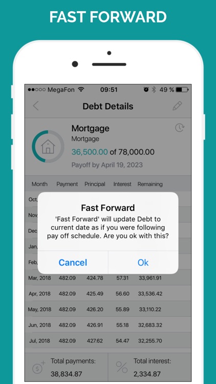 Debt Free Box: Snowball Payoff screenshot-3