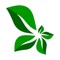 Identify Plant - Identify Plants, Flowers, Trees & More