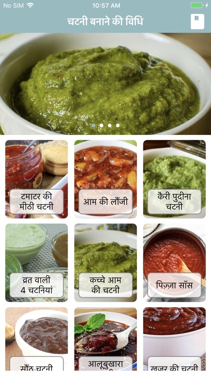 Chutney Recipes Hindi