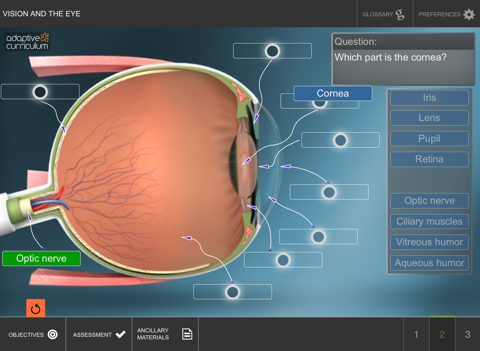 Vision and the Eye screenshot 3