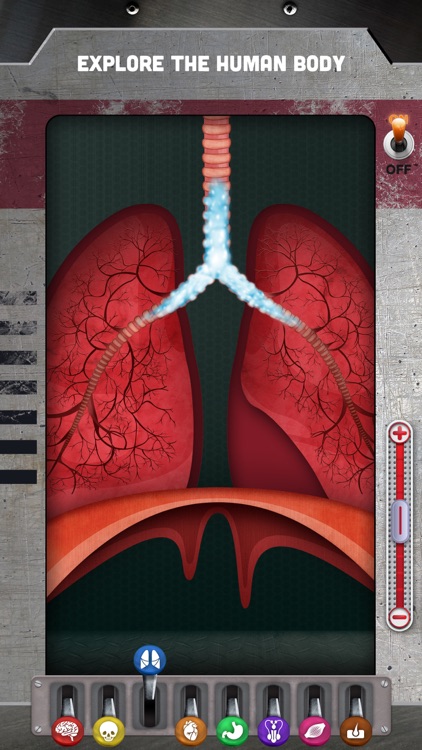 How does The Human Body Work? screenshot-0